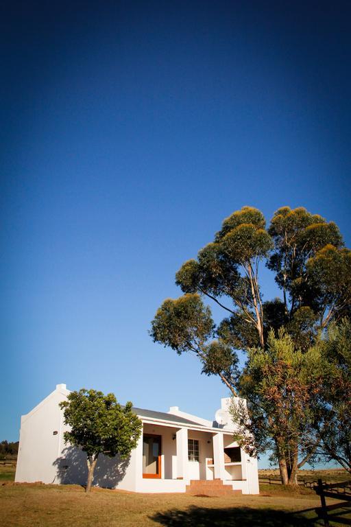 Kweekkraal Guest Farm Villa Riversdale Dış mekan fotoğraf